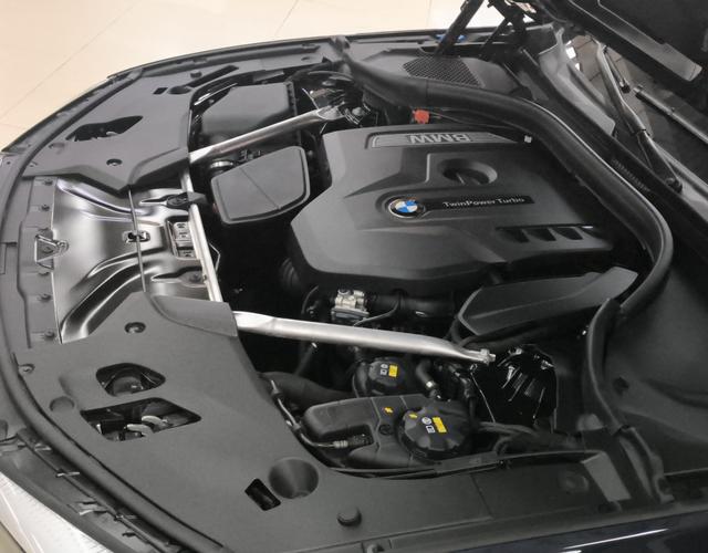 宝马5系 525Li 2018款 2.0T 自动 汽油 M运动套装 (国Ⅴ) 