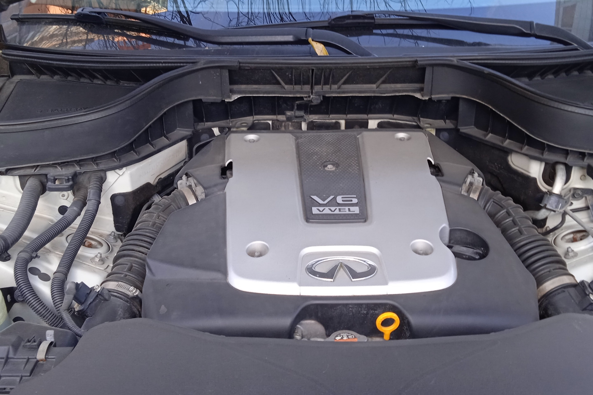英菲尼迪QX70 [进口] 2013款 3.7L 自动 四驱 标准版 