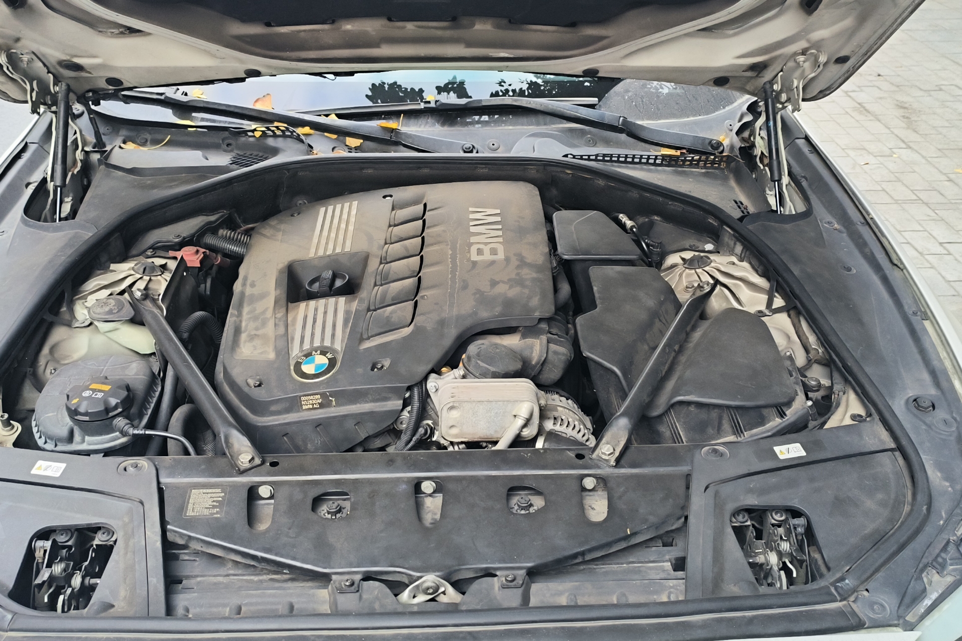 宝马5系 530Li 2013款 3.0L 自动 汽油 领先型 (国Ⅳ) 